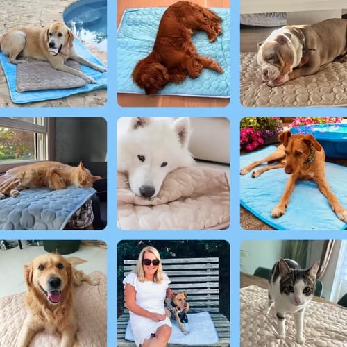 The CryoCore Mat - Instant Heatstroke Prevention - 50% OFF