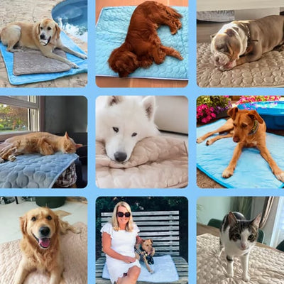 The CryoCore Mat - Instant Heatstroke Prevention - 50% OFF