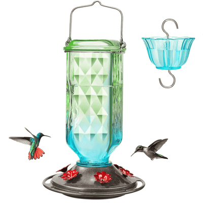 BloomNectar Glass Feeder – Attract & Delight Hummingbirds - 50% OFF