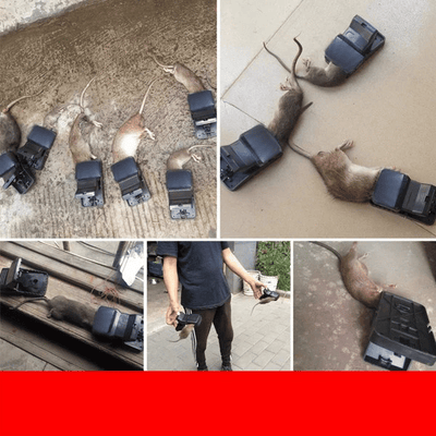 StealthStrike Trap + Swift Elimination, Hygienic Control - 50% OFF