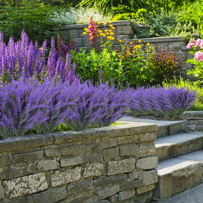 Lifelike Artificial Lavender - A Perfect Garden, Zero Work + 50% OFF