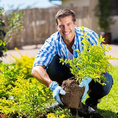 TerraThrive - Unlock Your Soil, Unleash Your Garden - 50% OFF