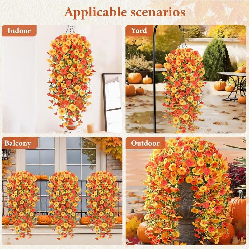 EverBloom Morning Glories - A Perfect Porch, All Autumn - 1+1 FREE