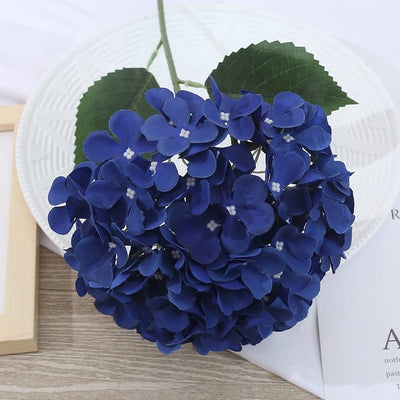 EverBloom Hydrangeas - A Perfect Garden, Effortlessly - 1+1 FREE