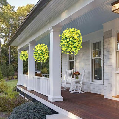 EverBloom Morning Glories - A Perfect Porch, All Autumn - 1+1 FREE