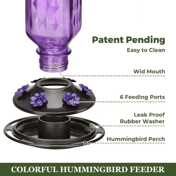 BloomNectar Glass Feeder – Attract & Delight Hummingbirds - 50% OFF