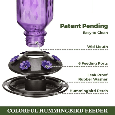 BloomNectar Glass Feeder – Attract & Delight Hummingbirds - 50% OFF