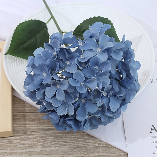 EverBloom Hydrangeas - A Perfect Garden, Effortlessly - 1+1 FREE