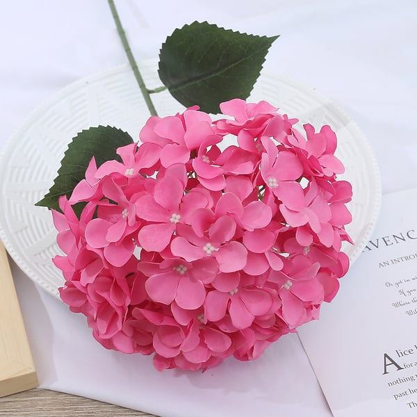 EverBloom Hydrangeas - A Perfect Garden, Effortlessly - 1+1 FREE