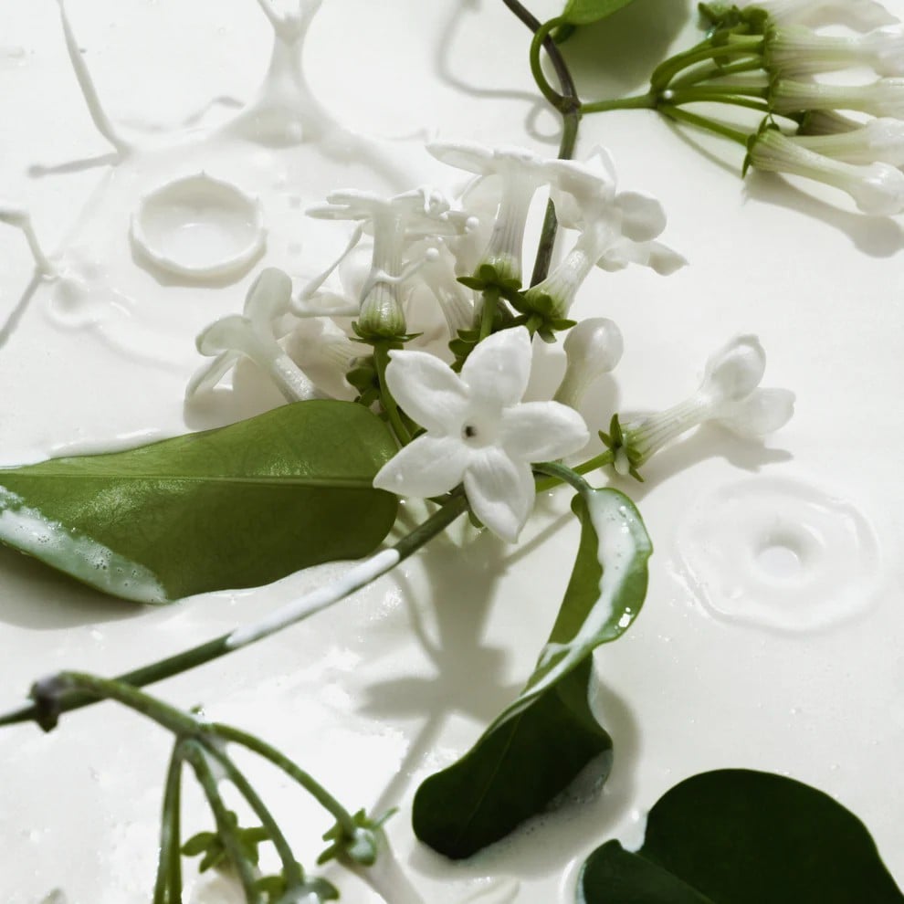 The Velvet Veil Mist - Your Perfect Signature Scent - 50% OFF