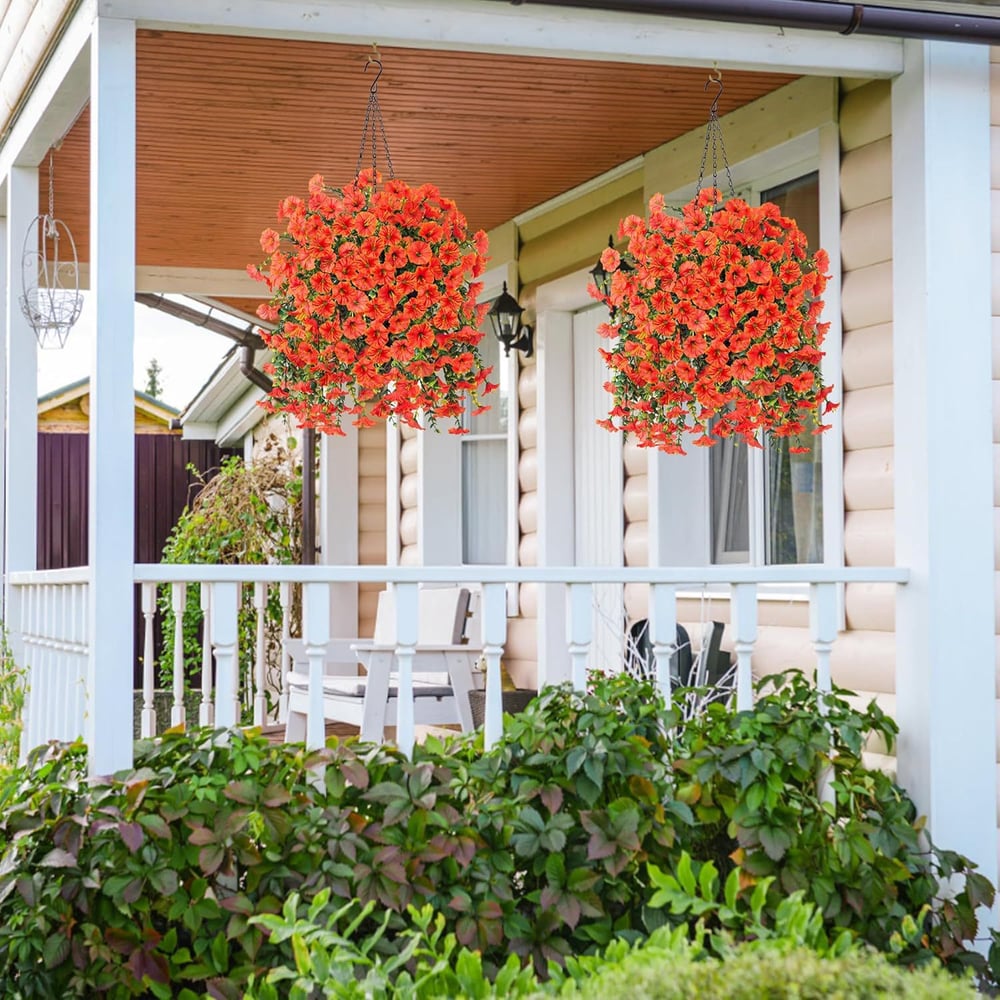 EverBloom Morning Glories - A Perfect Porch, All Autumn - 1+1 FREE