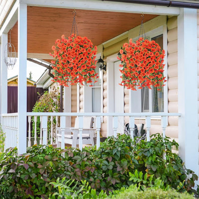 EverBloom Morning Glories - A Perfect Porch, All Autumn - 1+1 FREE