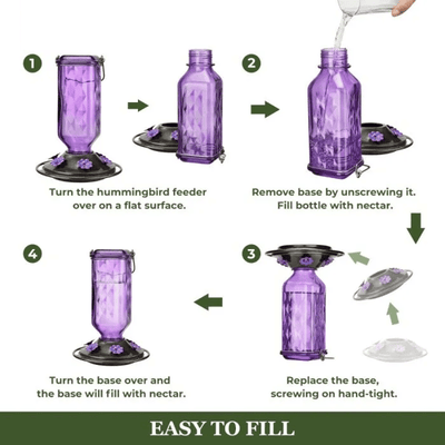 BloomNectar Glass Feeder – Attract & Delight Hummingbirds - 50% OFF