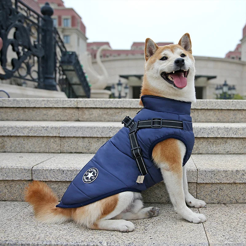The All-in-One Dog Winter Jacket - The Walk-Ready Winter Coat + 50% OFF