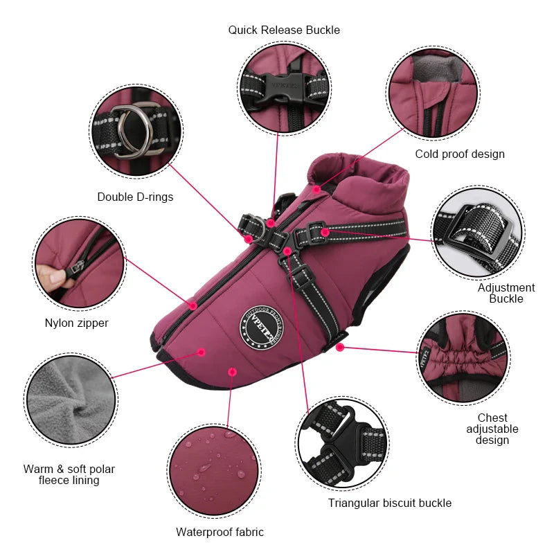 The All-in-One Dog Winter Jacket - The Walk-Ready Winter Coat + 50% OFF