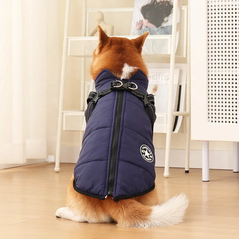The All-in-One Dog Winter Jacket - The Walk-Ready Winter Coat + 50% OFF