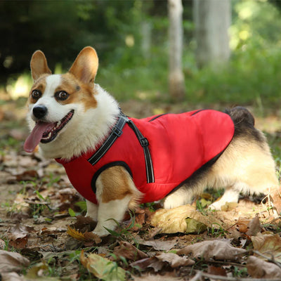 The All-in-One Dog Winter Jacket - The Walk-Ready Winter Coat + 50% OFF
