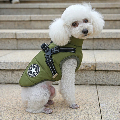 The All-in-One Dog Winter Jacket - The Walk-Ready Winter Coat + 50% OFF