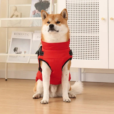 The All-in-One Dog Winter Jacket - The Walk-Ready Winter Coat + 50% OFF
