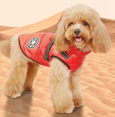 The All-in-One Dog Winter Jacket - The Walk-Ready Winter Coat + 50% OFF