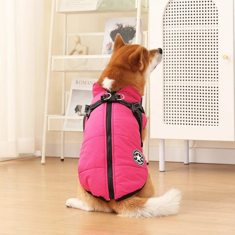 The All-in-One Dog Winter Jacket - The Walk-Ready Winter Coat + 50% OFF