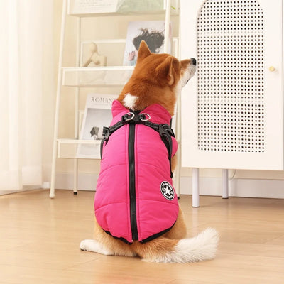 The All-in-One Dog Winter Jacket - The Walk-Ready Winter Coat + 50% OFF