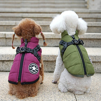 The All-in-One Dog Winter Jacket - The Walk-Ready Winter Coat + 50% OFF